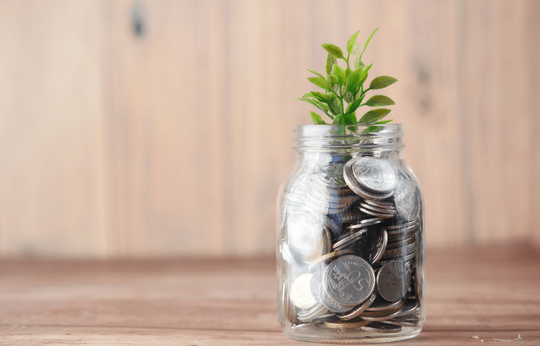 glazen pot met geld en groene plant voor lening zonnepanelen op afbetaling