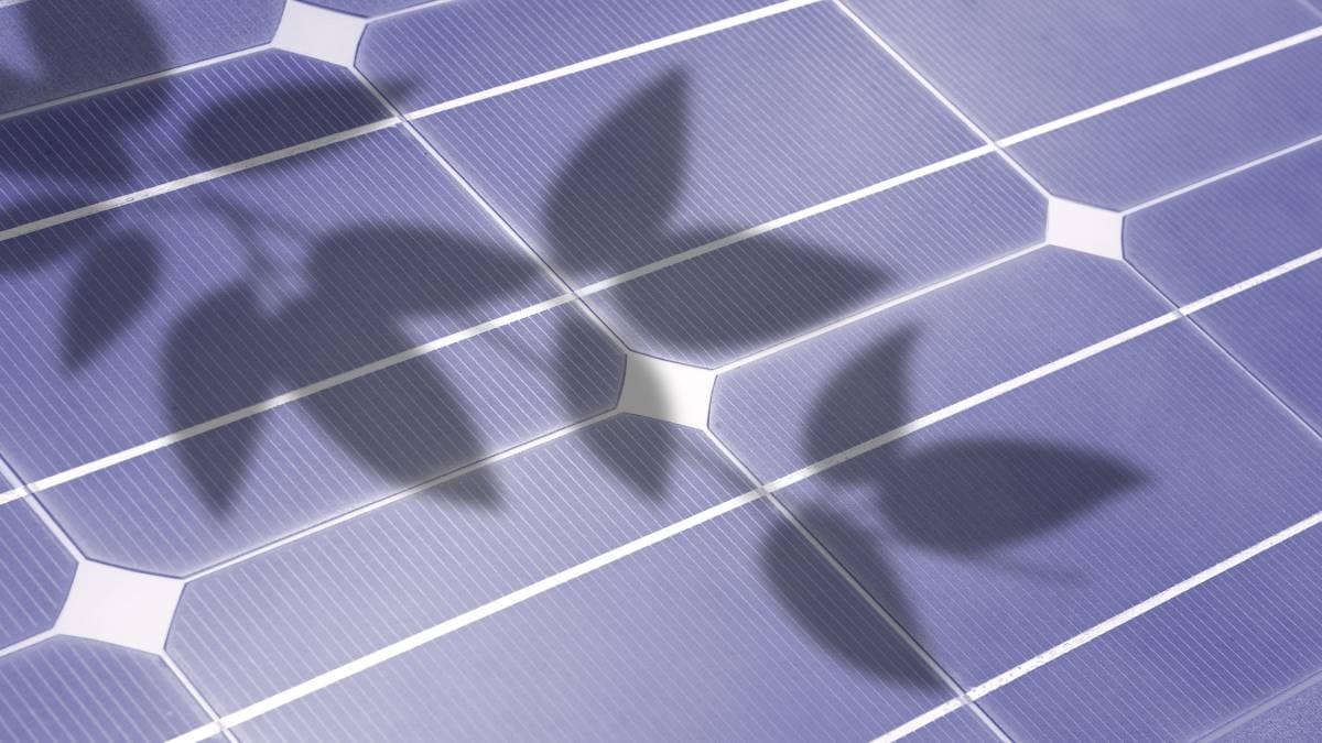 Schaduwvorming van een blad op de zonnepanelen